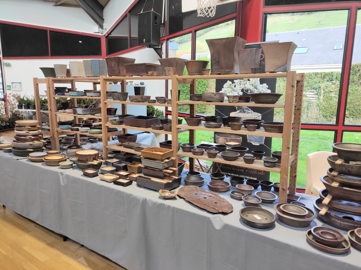 Expo-2022-Arbre-en-pot-Artisans-1.jpg